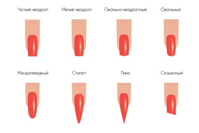 kształt paznokcia